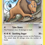 Tauros 100/146 - XY Base Set