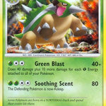 Torterra 039/127 - Platinum