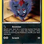 Zorua 069/108 - Dark Explorers