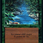 Stream of Life (FBB-217) - Foreign Black Border