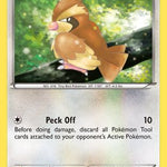 Pidgey 075/106 - XY  Flashfire