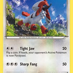 Furfrou 087/106 - XY  Flashfire
