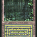 Bayou (FBB-) - Foreign Black Border
