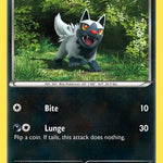 Poochyena 053/119 - XY  Phantom Forces