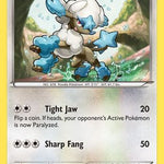 Furfrou 090/119 - XY  Phantom Forces