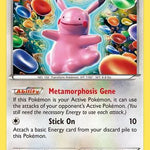 Ditto XY40/211 - XY Promos Holofoil