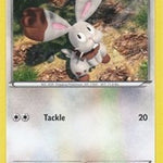 Bunnelby 004 - XY Trainer Kit Sylveon & Noivern