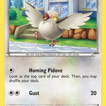 Pidove 078/108 - XY  Roaring Skies