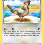 Tranquill 079/108 - XY  Roaring Skies
