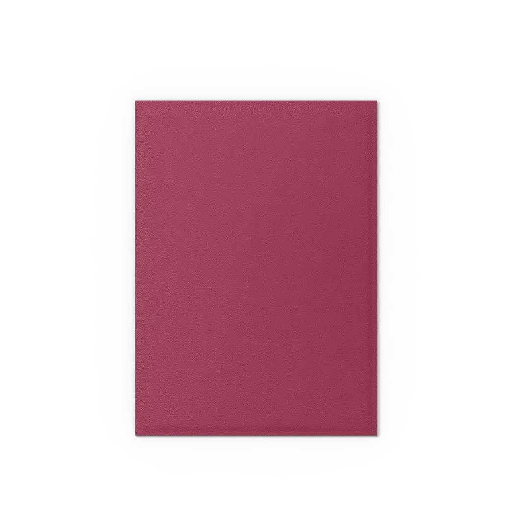 Matte dual sleeves for trading cards featuring pomegranate and gold design by THE MIGHTY HOBBY SHOP.