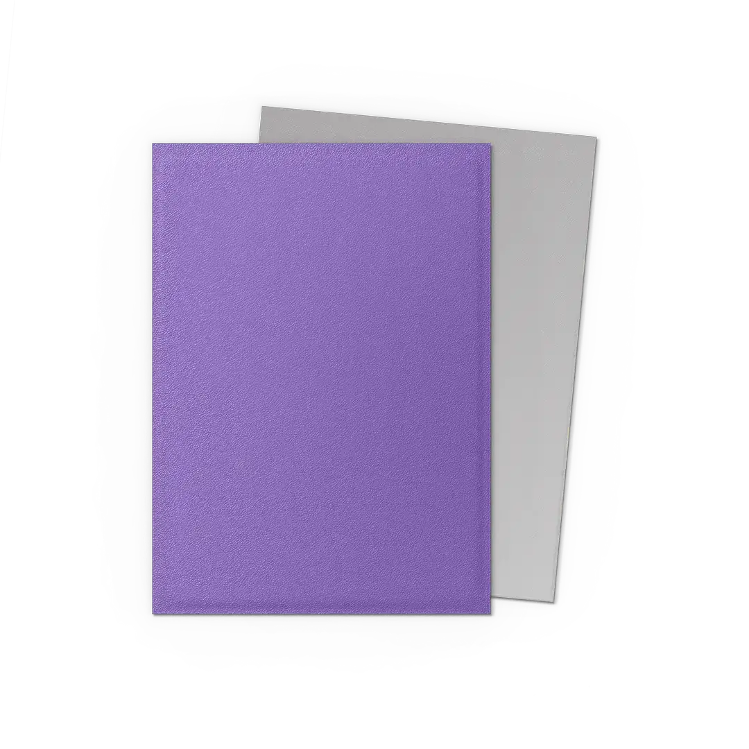Matte Dragon Shield dual sleeves featuring nebula and silver design, designed for card protection by THE MIGHTY HOBBY SHOP.