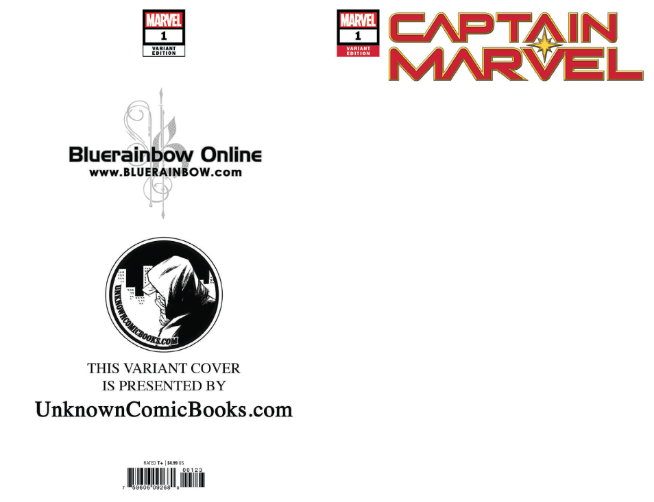 Captain Marvel #1 Unknown Comic Books Exclusive Blank 1/16/2019 by Unknown Comic Books