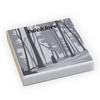Taylor Bricks Bricklore Music Album Cover (2x2 Tile) by B3 Customs