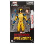 Marvel Legends Series Wolverine Action Figure by THE MIGHTY HOBBY SHOP