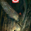 DEPARTMENT OF TRUTH #15 CVR B ROMERO (MR) (12/29/2021) by Unknown Comic Books
