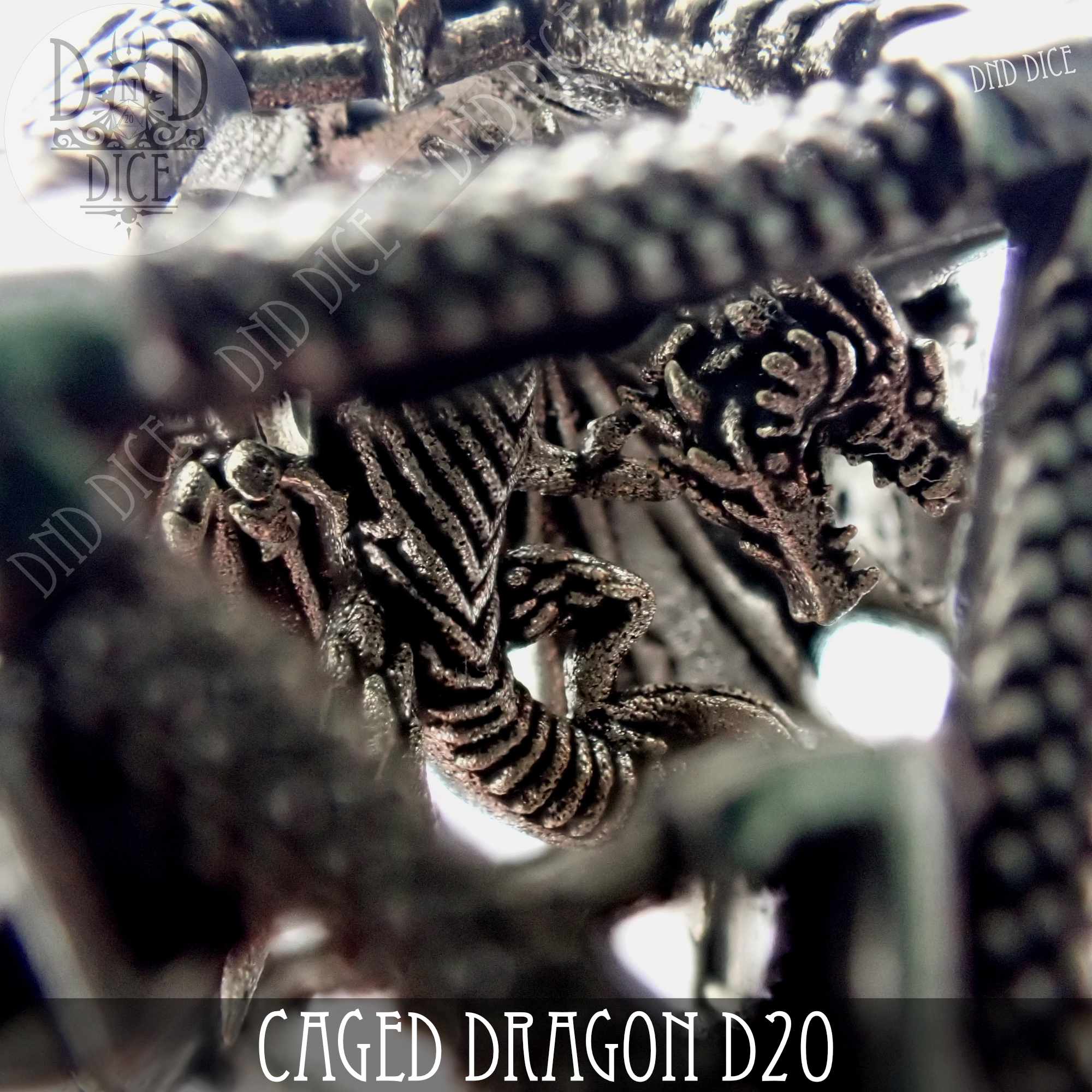 Caged Dragon D20 (6 Colors) by DNDDICE.COM