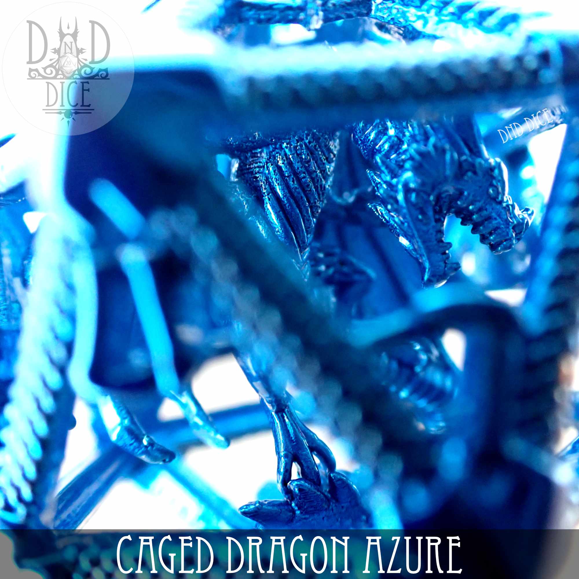 Caged Dragon D20 (6 Colors) by DNDDICE.COM