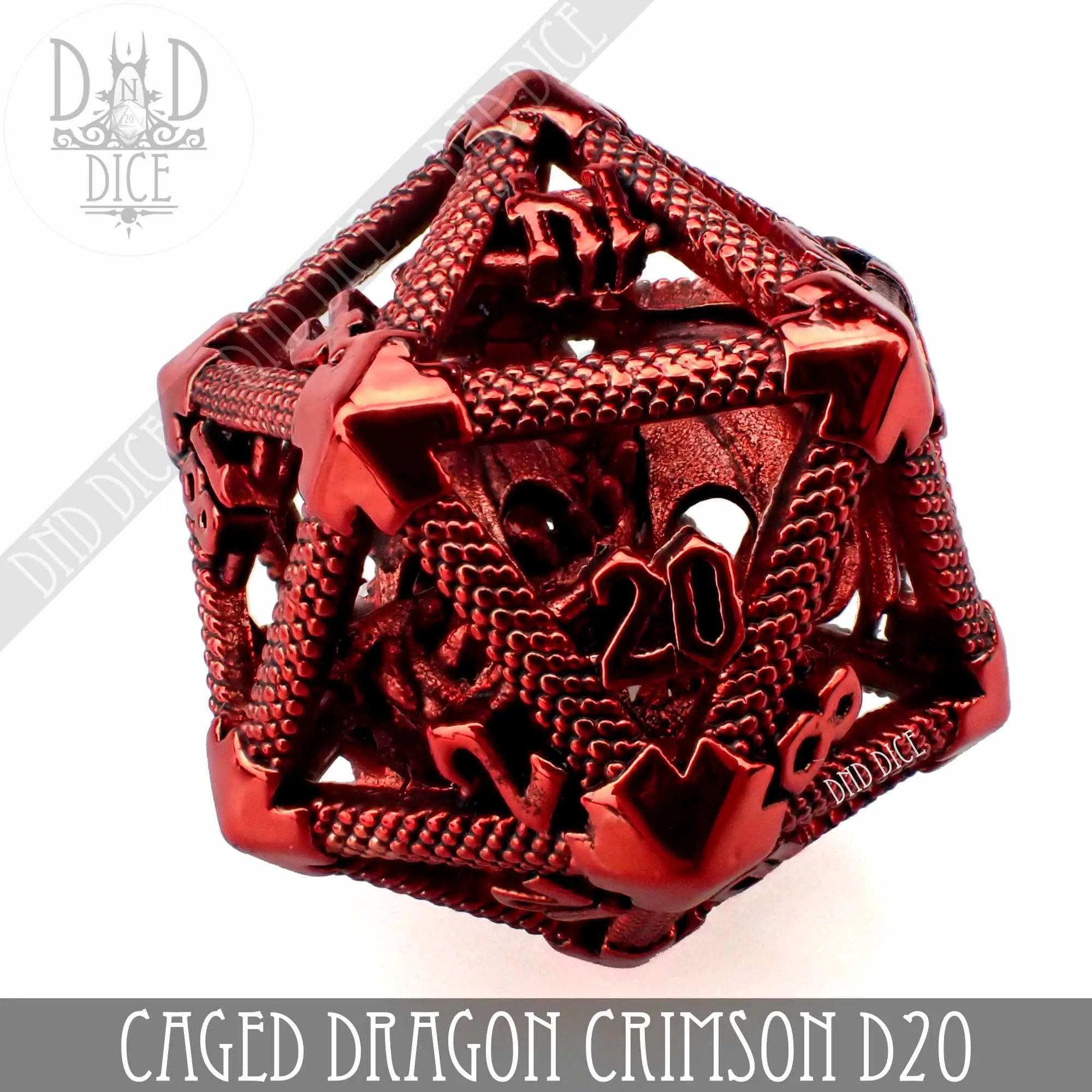 Caged Dragon D20 (6 Colors) by DNDDICE.COM