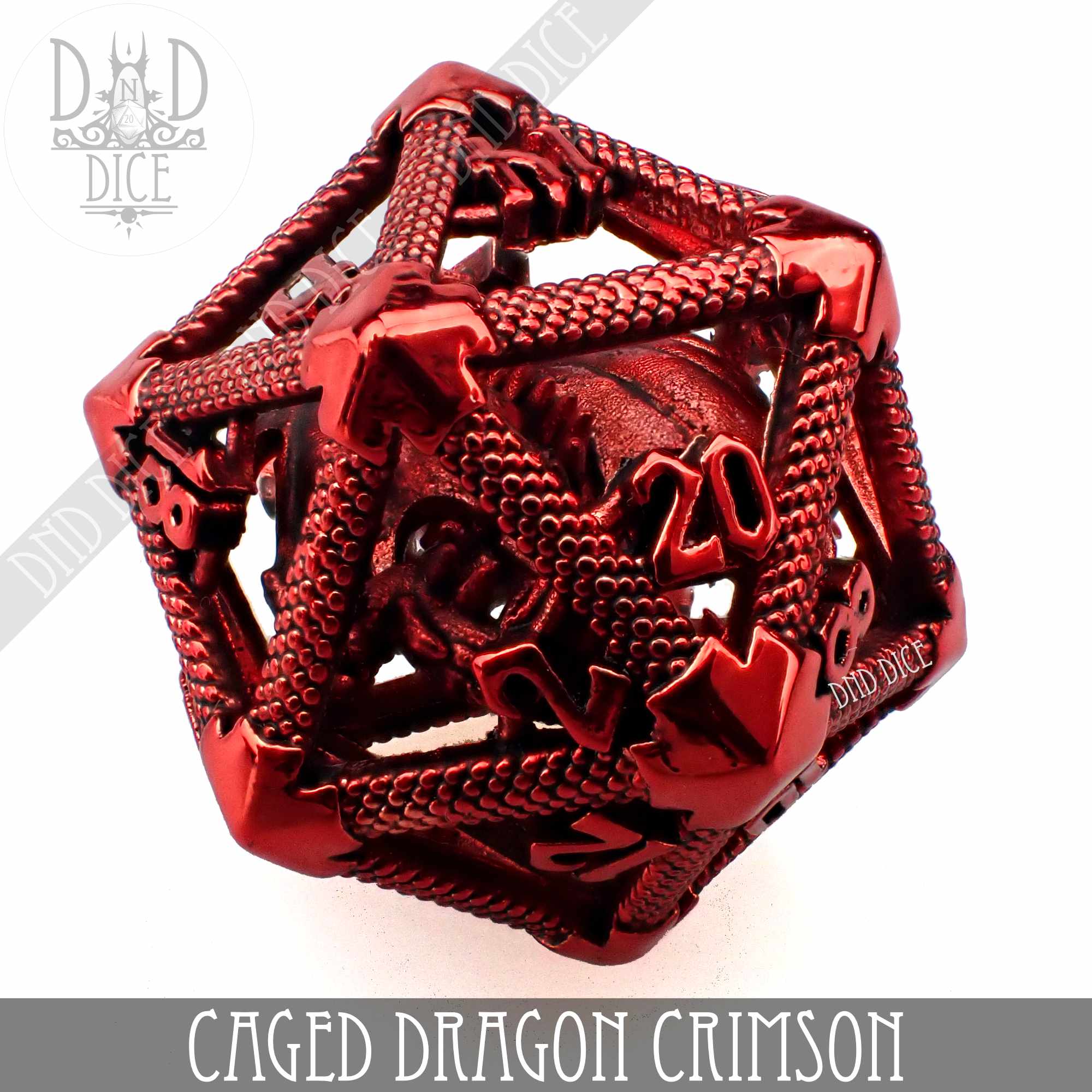 Caged Dragon D20 (6 Colors) by DNDDICE.COM