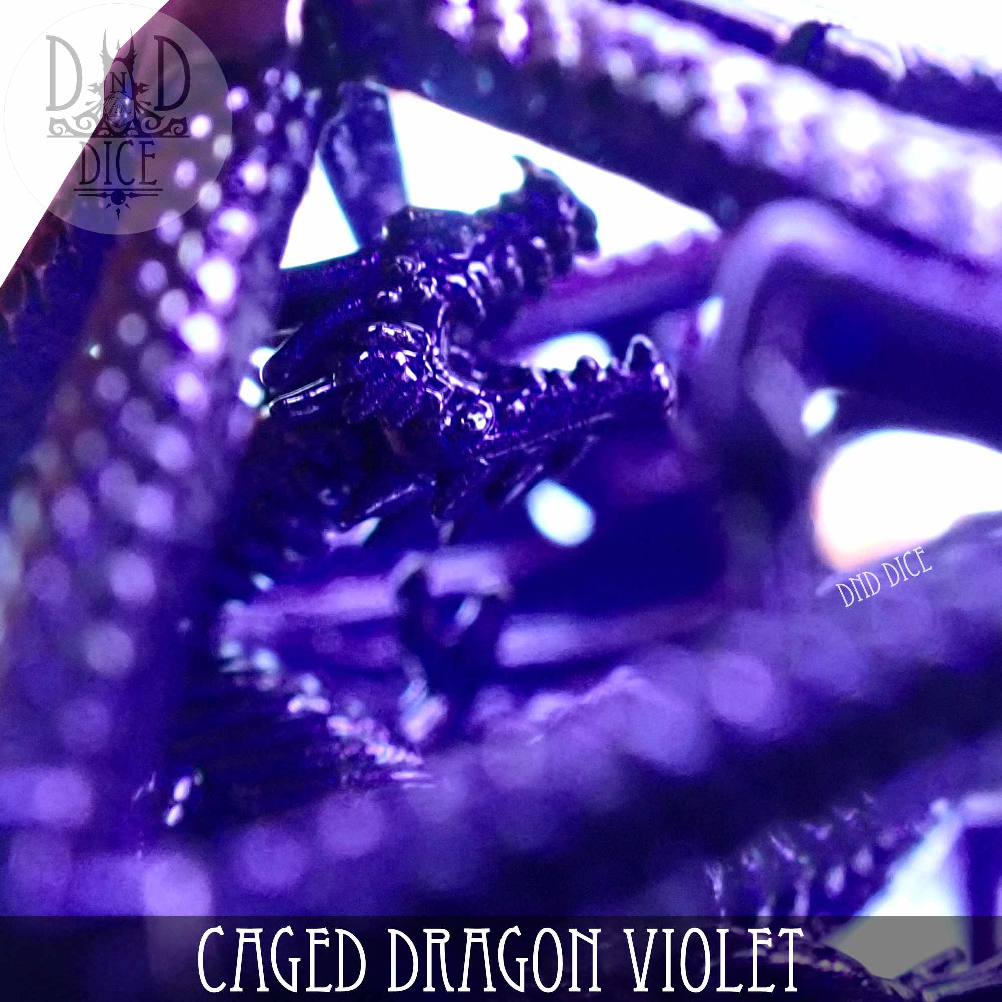 Caged Dragon D20 (6 Colors) by DNDDICE.COM