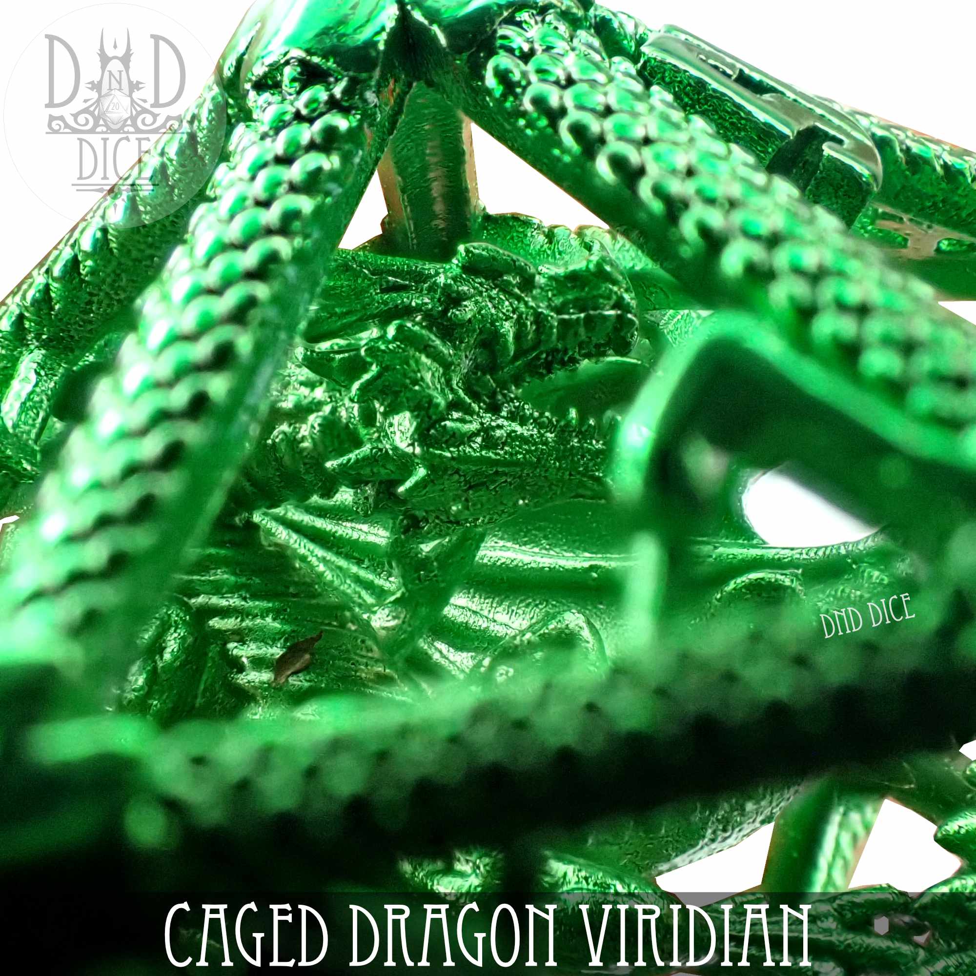 Caged Dragon D20 (6 Colors) by DNDDICE.COM
