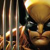 Wolverine #23 Unknown Comics Scott Williams Exclusive Virgin Icon Var (07/13/2022) by Unknown Comic Books