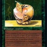 Lure (FBB-212) - Foreign Black Border