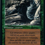 Web (FBB-229) - Foreign Black Border