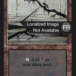 Swamp (FBB-298) - Foreign Black Border