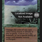 Lifelace (FBB-208) - Foreign Black Border