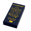 Custom B3 Customs passport tile featuring LEGO-style printed design on a 1x2 tile, ideal for collectible or display use.
