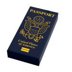 Custom B3 Customs passport tile featuring LEGO-style printed design on a 1x2 tile, ideal for collectible or display use.