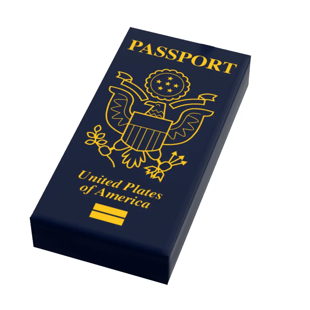 Custom B3 Customs passport tile featuring LEGO-style printed design on a 1x2 tile, ideal for collectible or display use.