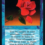 Mana Short (FBB-067) - Foreign Black Border