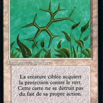 Green Ward (FBB-020) - Foreign Black Border