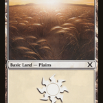 Plains (10E-365) - Tenth Edition