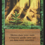 Regrowth (FBB-214) - Foreign Black Border