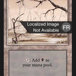 Swamp (FBB-299) - Foreign Black Border