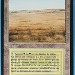 Savannah (FBB-285) - Foreign Black Border
