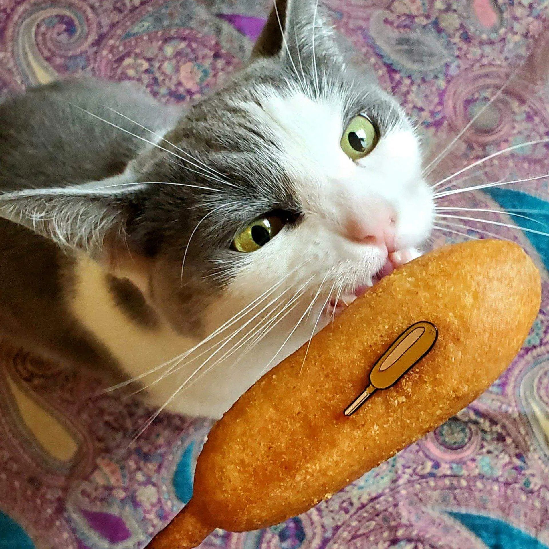 Corn Dog Pin by Kolorspun