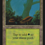 Forest (CED-280) - Collectors' Edition