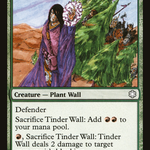 Tinder Wall (CTD-270) - Coldsnap Theme Decks