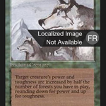 Aspect of Wolf (FBB-186) - Foreign Black Border