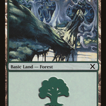 Forest (10E-380) - Tenth Edition