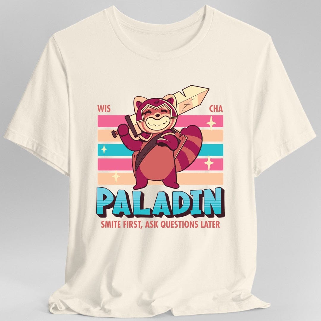 DnD Paladin Shirt - D&D Kawaii Class T-shirt
