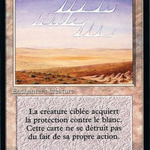 White Ward (FBB-045) - Foreign Black Border