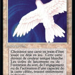 Purelace (FBB-032) - Foreign Black Border