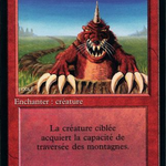 Burrowing (FBB-140) - Foreign Black Border