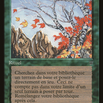 Untamed Wilds (REN-163) - Renaissance