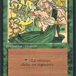 Regeneration (FBB-213) - Foreign Black Border